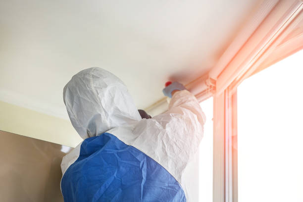 Best Mold Prevention Services in USA